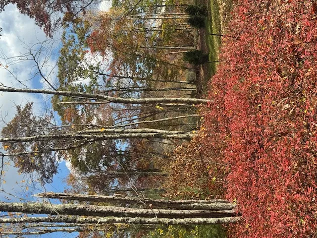 00 Blazing Star Trail Glenville, NC 28736