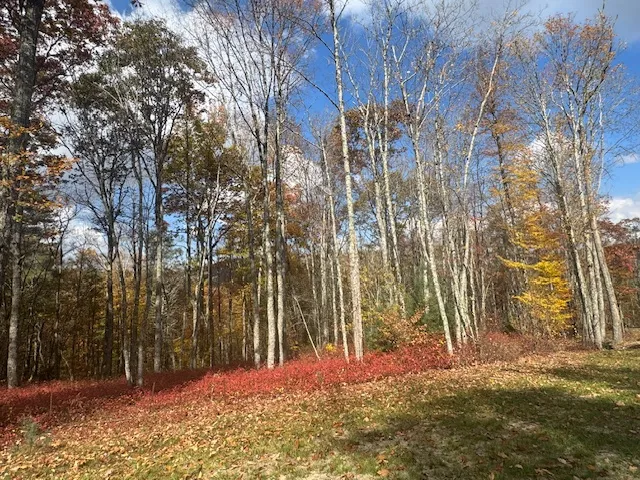 00 Blazing Star Trail Glenville, NC 28736