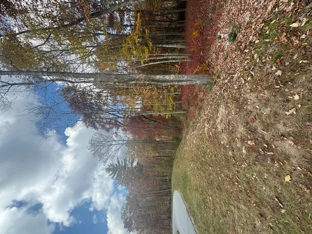 00 Blazing Star Trail Glenville, NC 28736