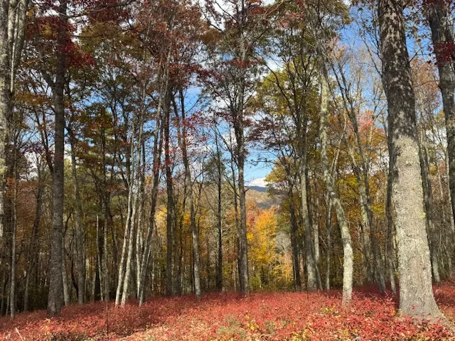 00 Blazing Star Trail Glenville, NC 28736