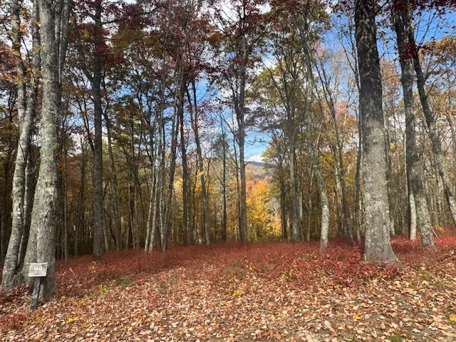 00 Blazing Star Trail Glenville, NC 28736