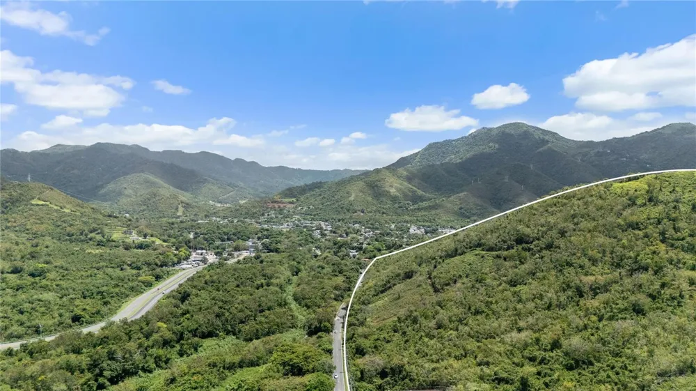 PR-748 CAIMITAL Guayama, PR 00784