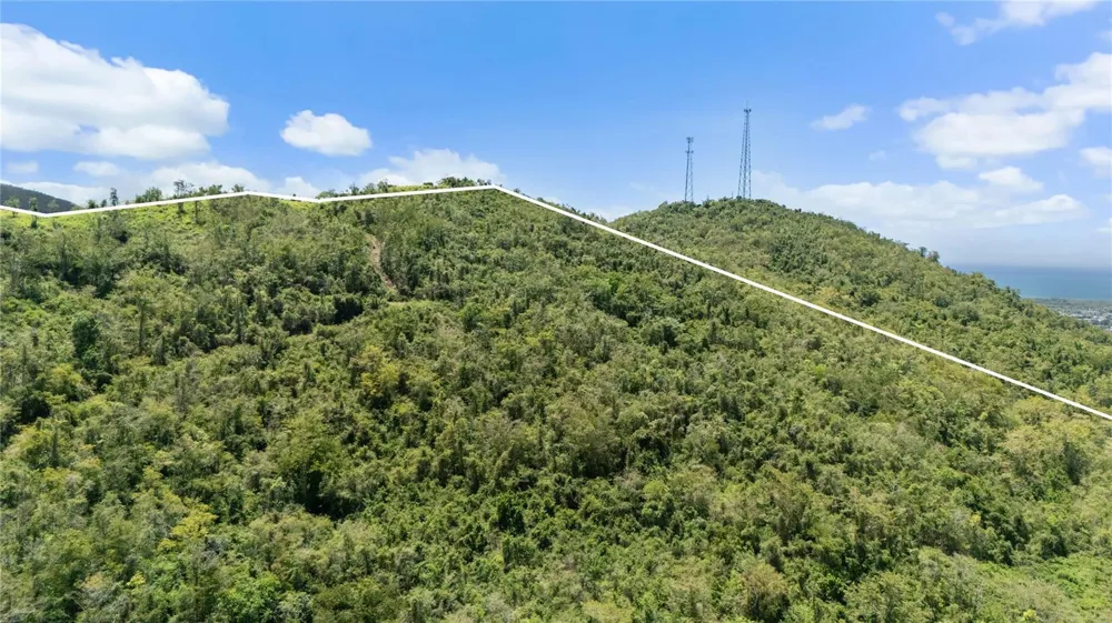 PR-748 CAIMITAL Guayama, PR 00784