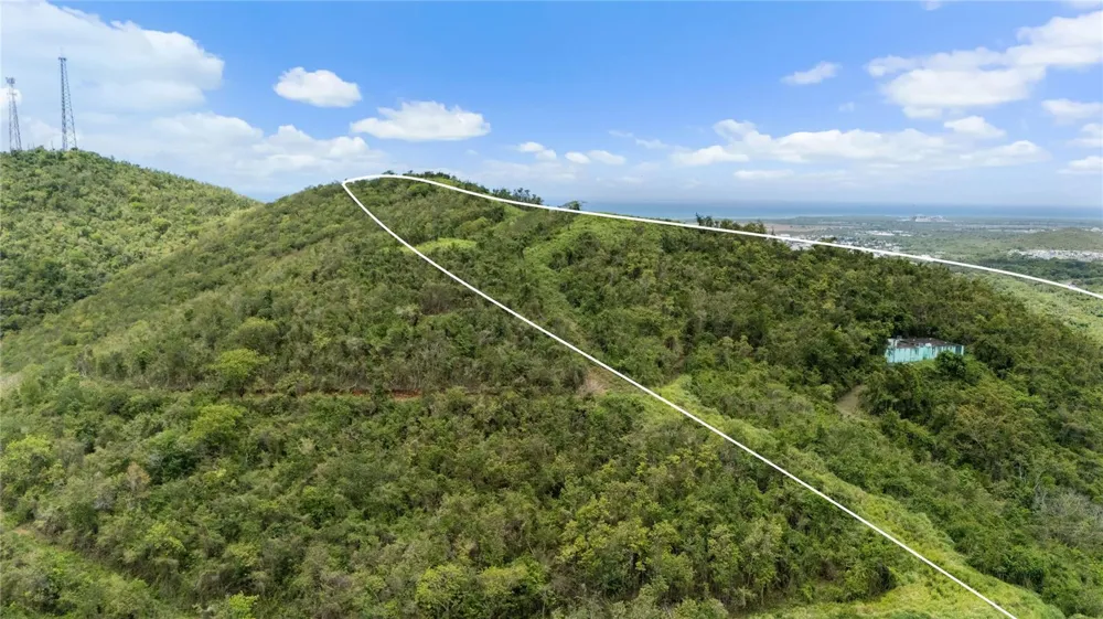 PR-748 CAIMITAL Guayama, PR 00784
