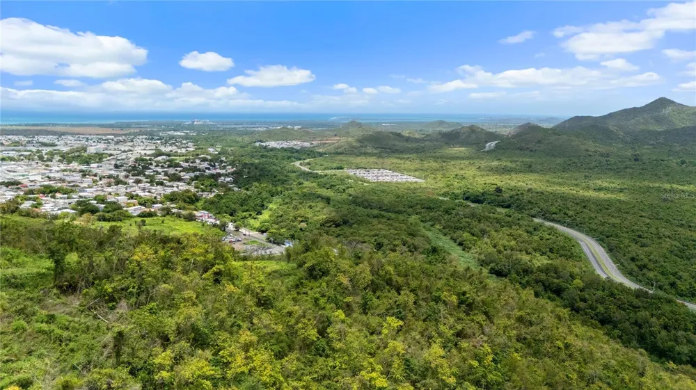 PR-748 CAIMITAL Guayama, PR 00784