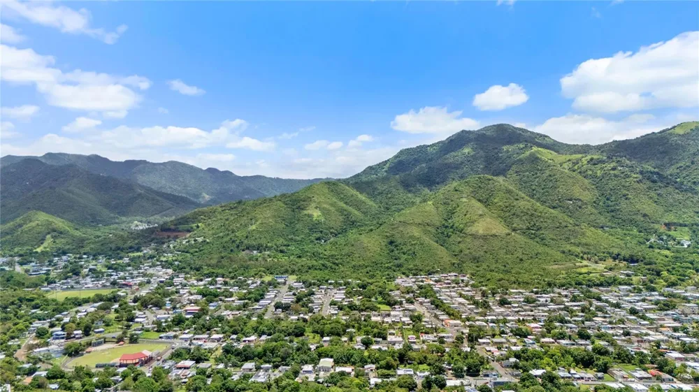 PR-748 CAIMITAL Guayama, PR 00784