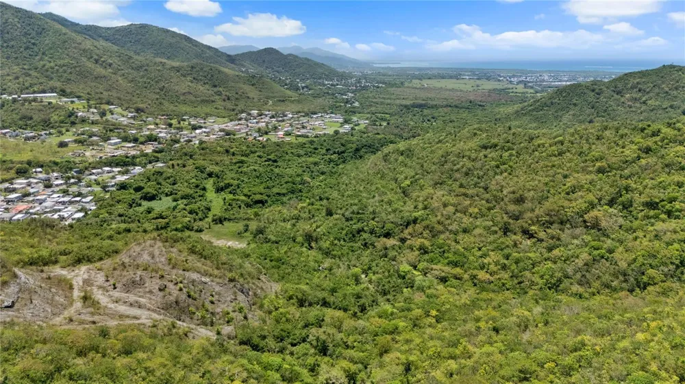 PR-748 CAIMITAL Guayama, PR 00784