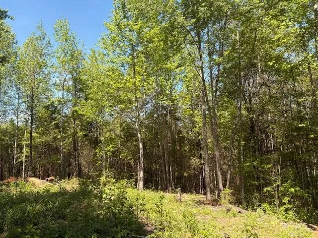 12 Bivens Court Niota, TN 37826