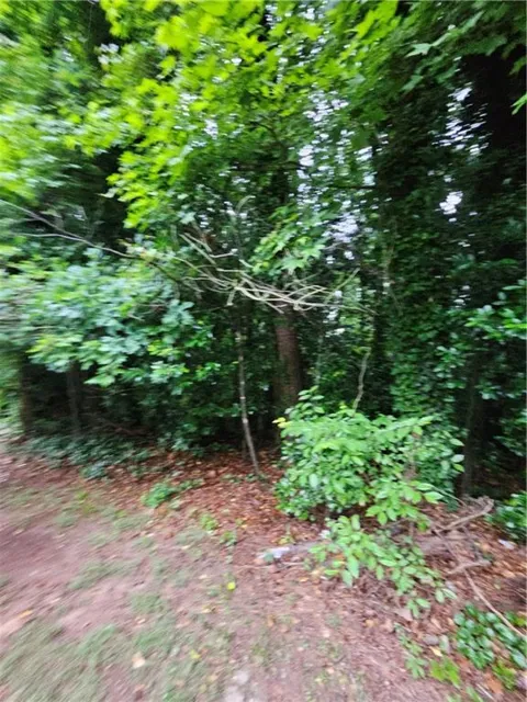 2409 Tarian Drive