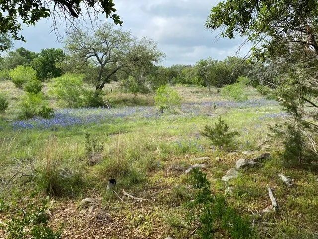 1365 Pedernales Hills Road Johnson City, TX 78636