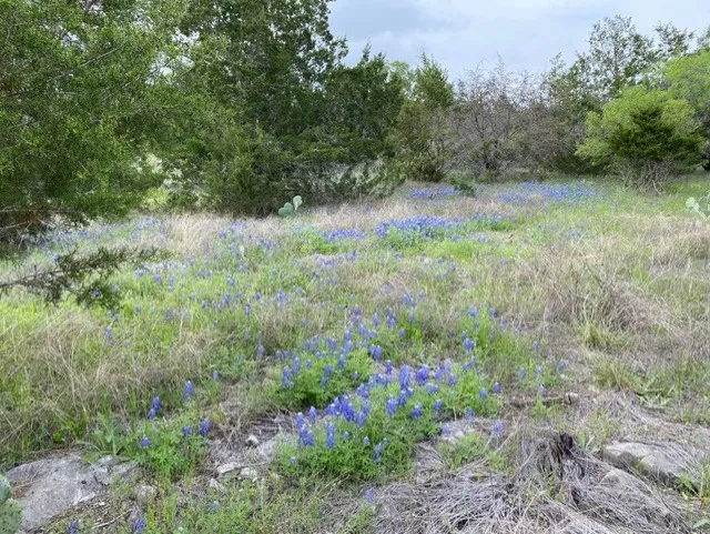 1365 Pedernales Hills Road Johnson City, TX 78636