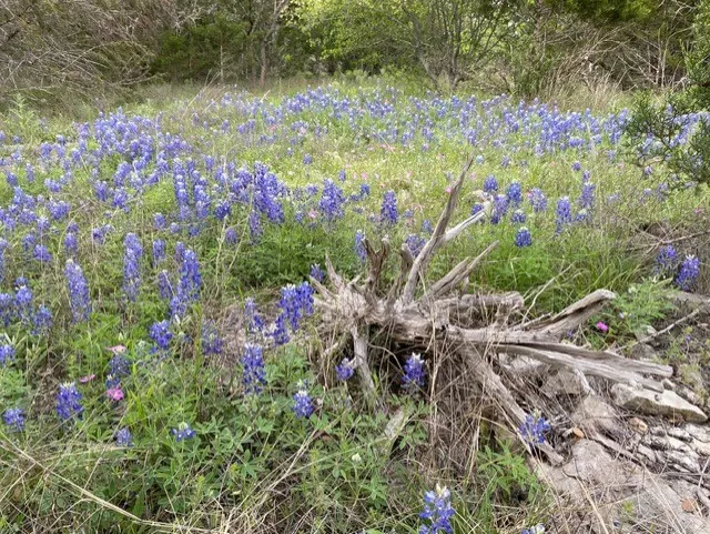 1365 Pedernales Hills Road Johnson City, TX 78636