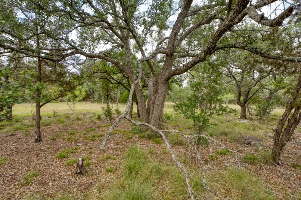 1365 Pedernales Hills Road Johnson City, TX 78636
