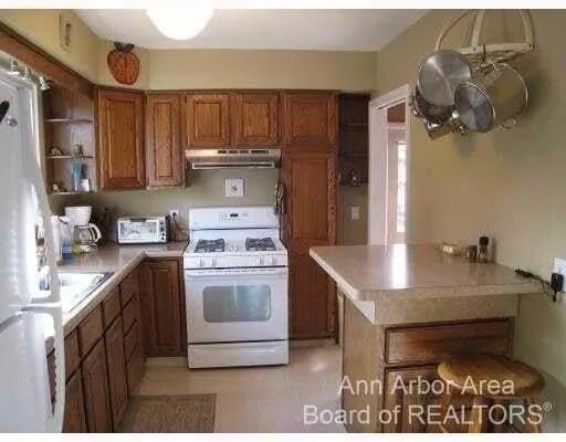7425 Ann Arbor Street Dexter City, MI 48130