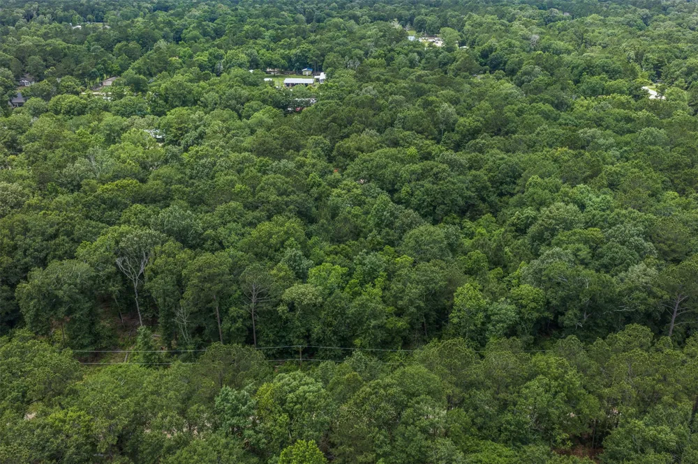 19116 Surrey New Caney, TX 77357
