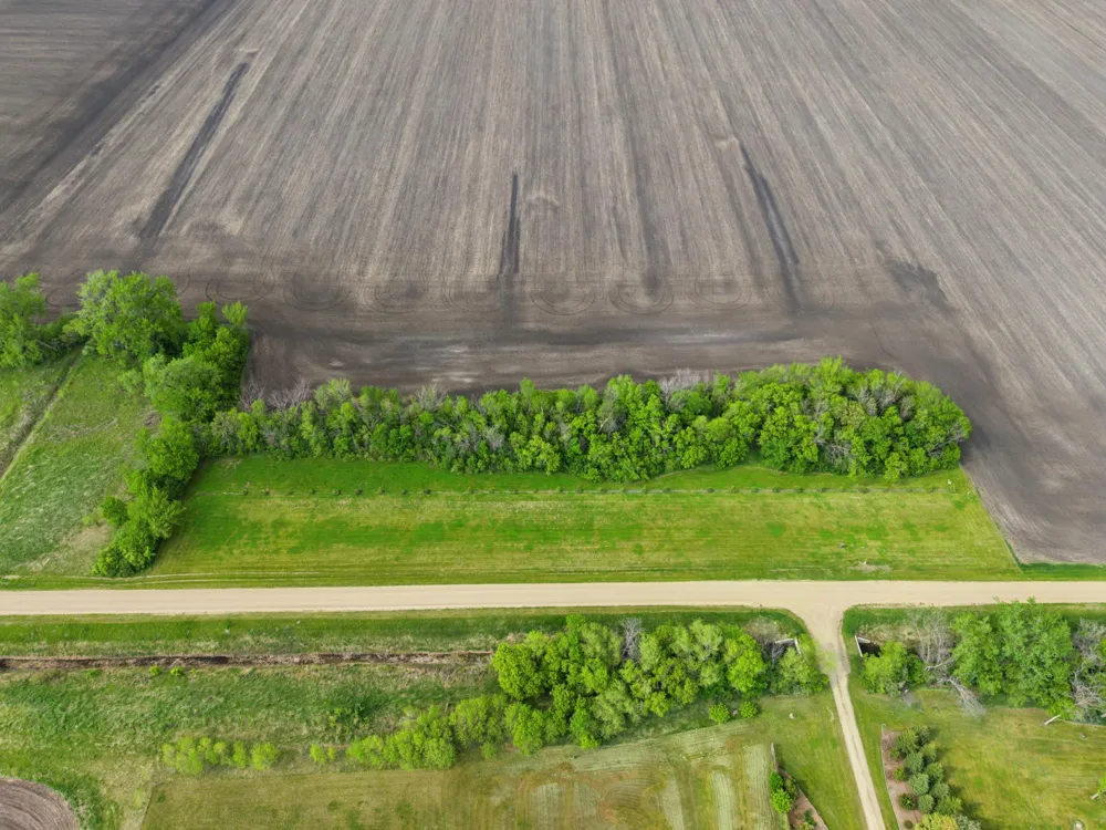 5641 170th Avenue Georgetown, MN 56546