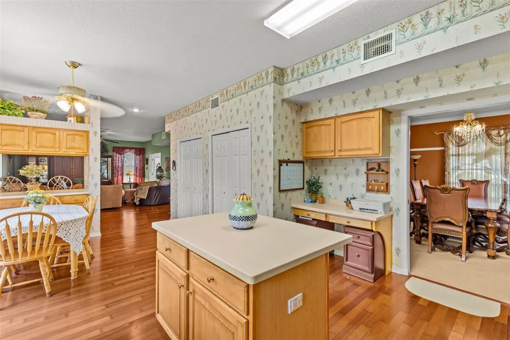 27221 SEA BREEZE WAY Wesley Chapel, FL 33544