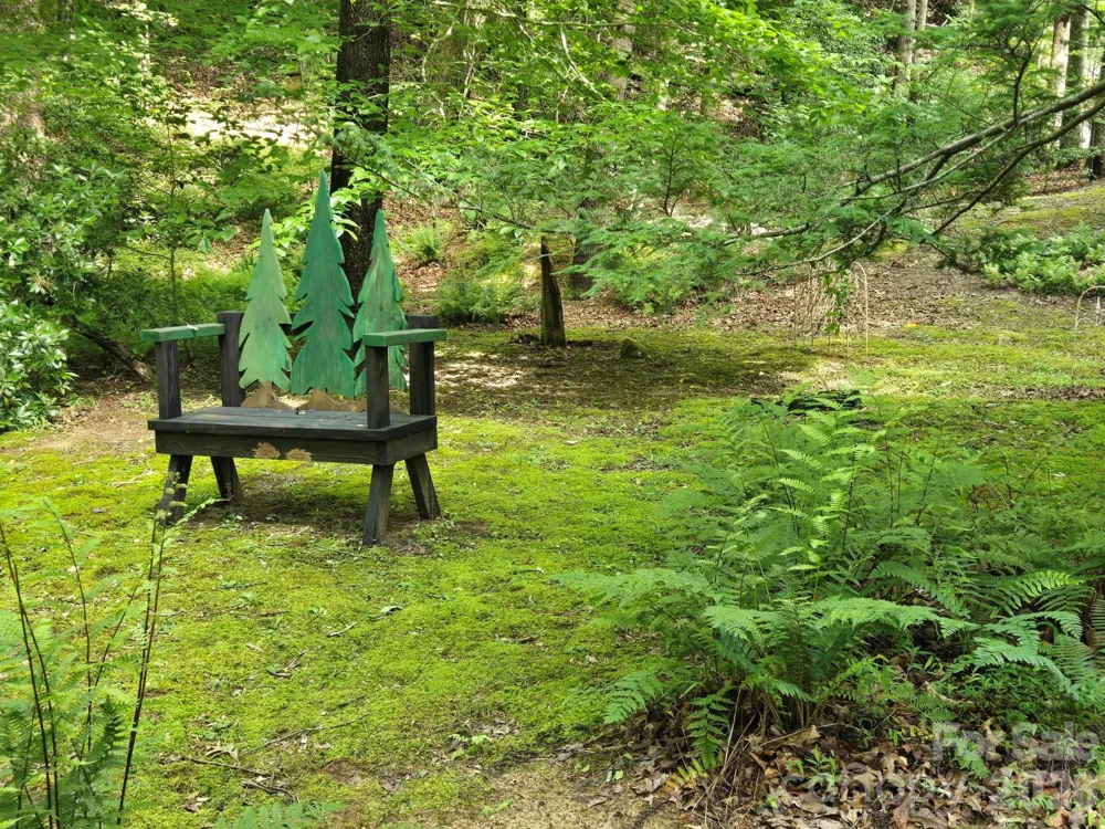 132 Rumbling Bald Road Lake Lure, NC 28746