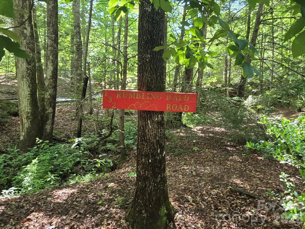 132 Rumbling Bald Road Lake Lure, NC 28746