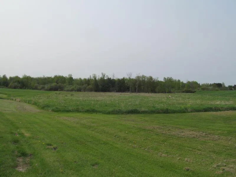 12 Hemlock Street McBain, MI 49657
