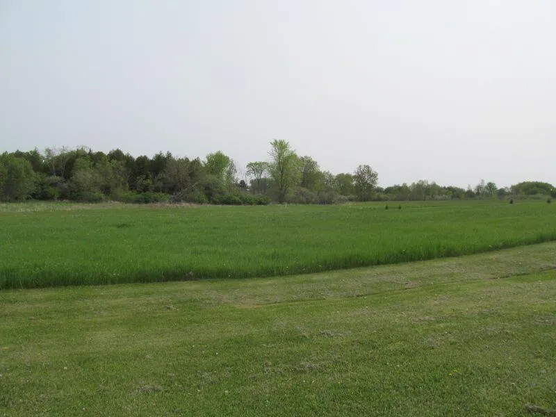12 Hemlock Street McBain, MI 49657