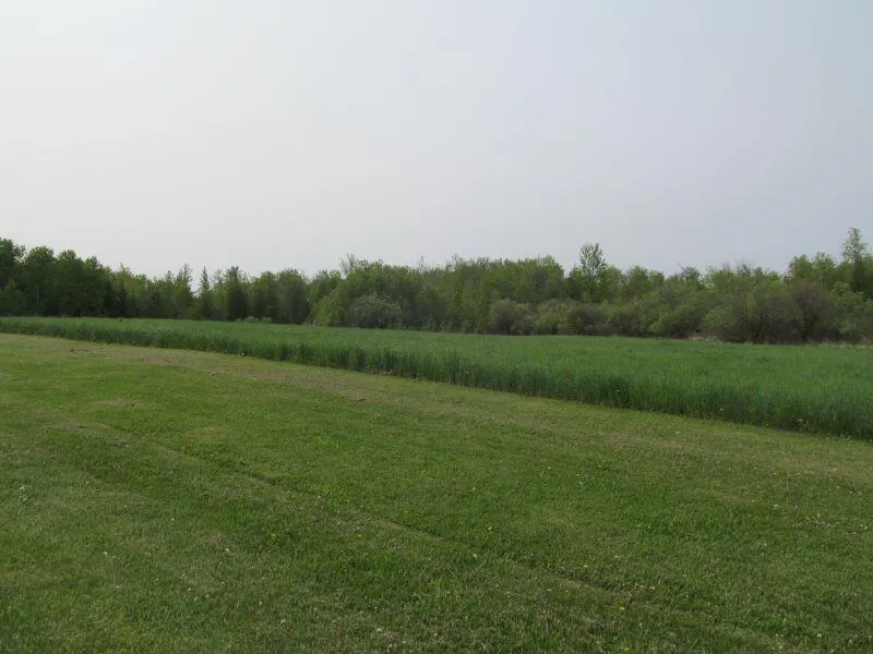 2 Hemlock Street McBain, MI 49657