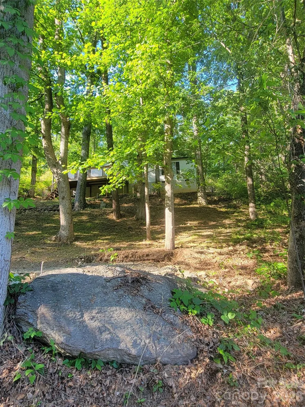 138 Buddy Lane Chimney Rock, NC 28720