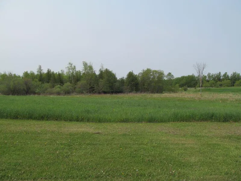 17 Hemlock Street McBain, MI 49657