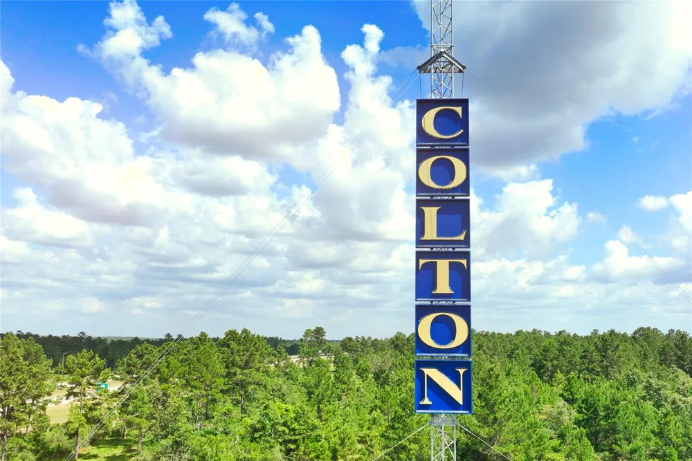 1726 Frito Court Todd Mission, TX 77316