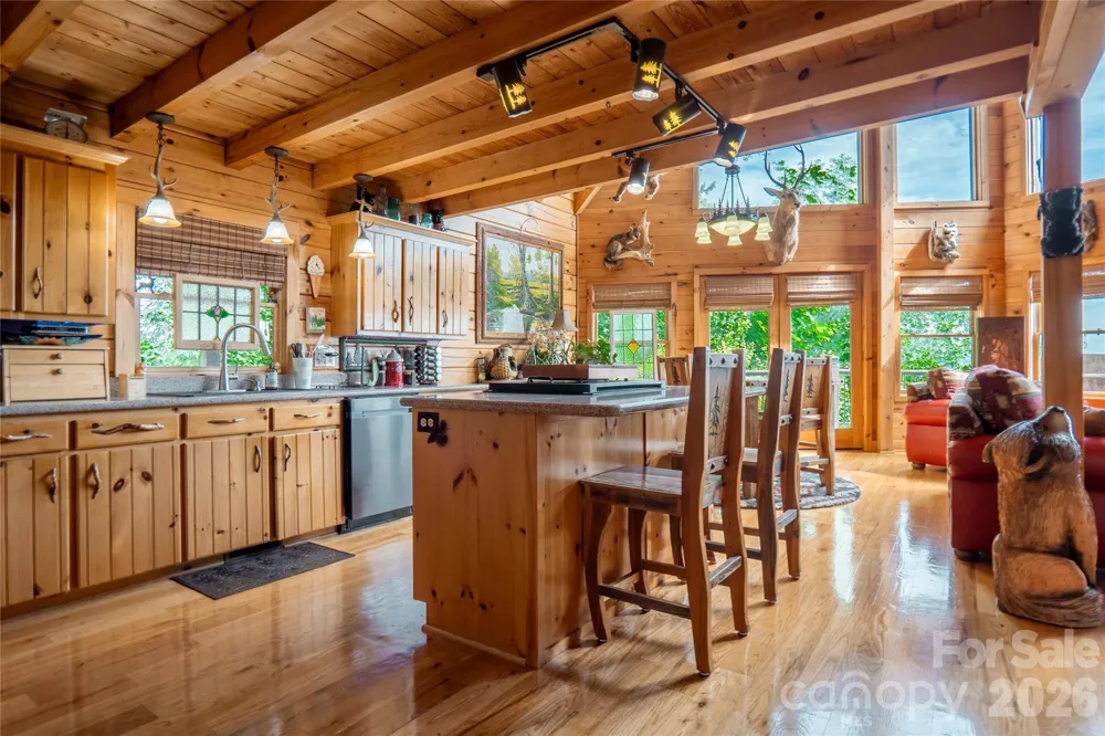 300 Williams Circle Lake Lure, NC 28746
