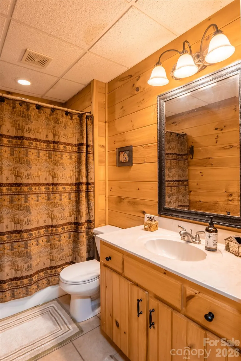 300 Williams Circle Lake Lure, NC 28746