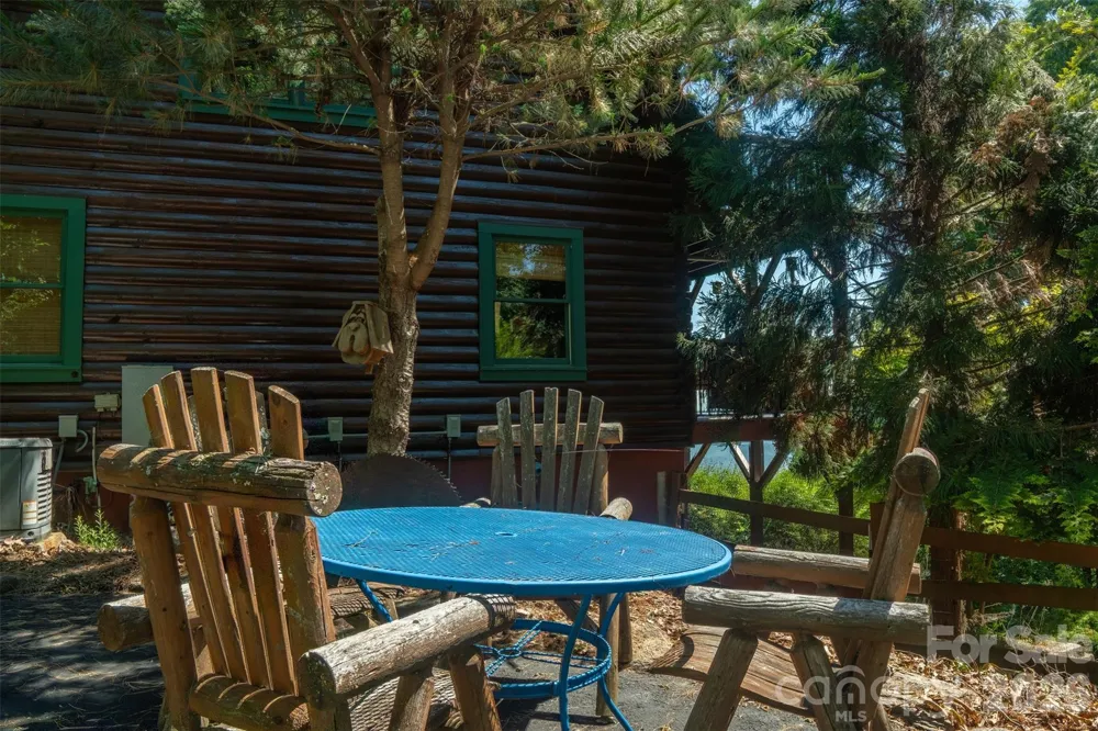 300 Williams Circle Lake Lure, NC 28746