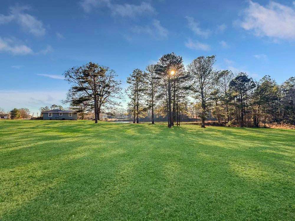 Multiple 21171 Highway 0431 Lafayette, AL 36862