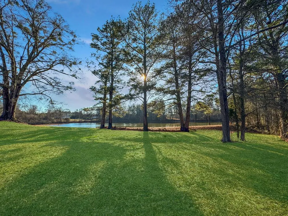 Multiple 21171 Highway 0431 Lafayette, AL 36862
