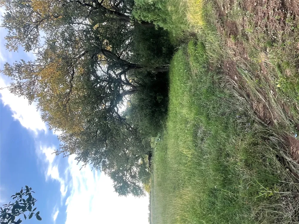 15 Orange Plume Horseshoe Bay, TX 78657