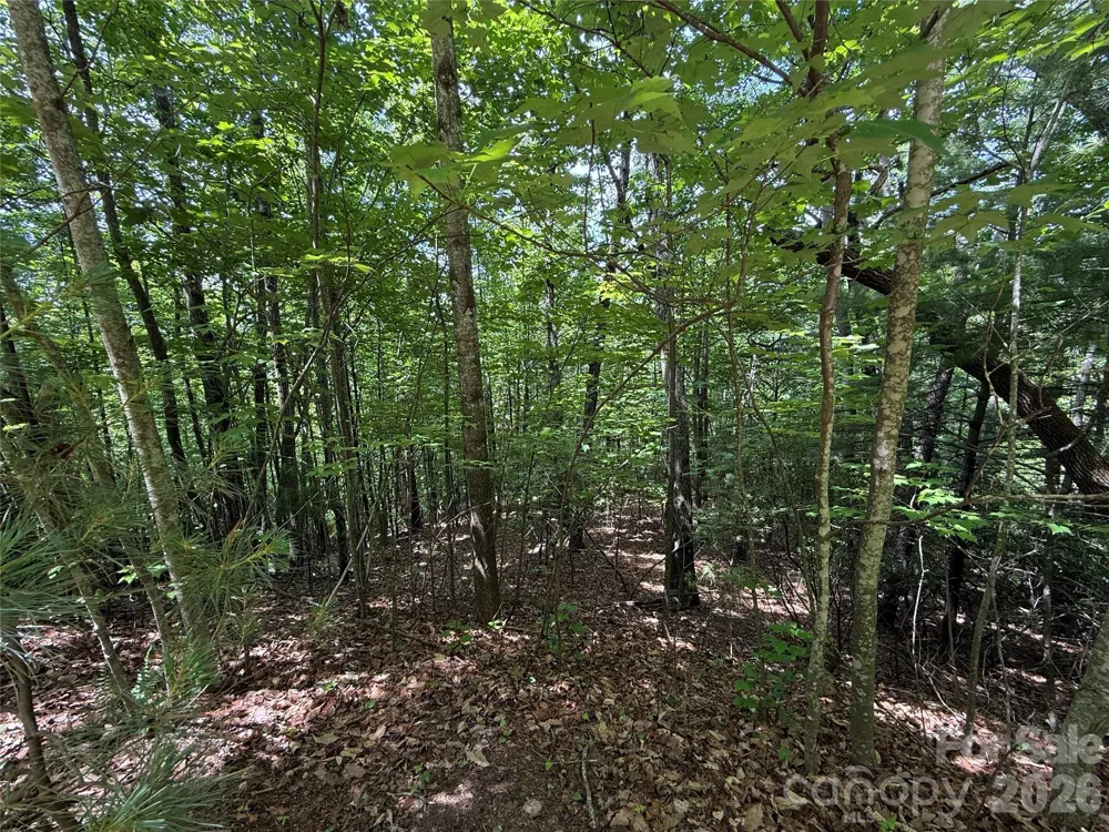 TBD Warren Way #132A Purlear, NC 28665