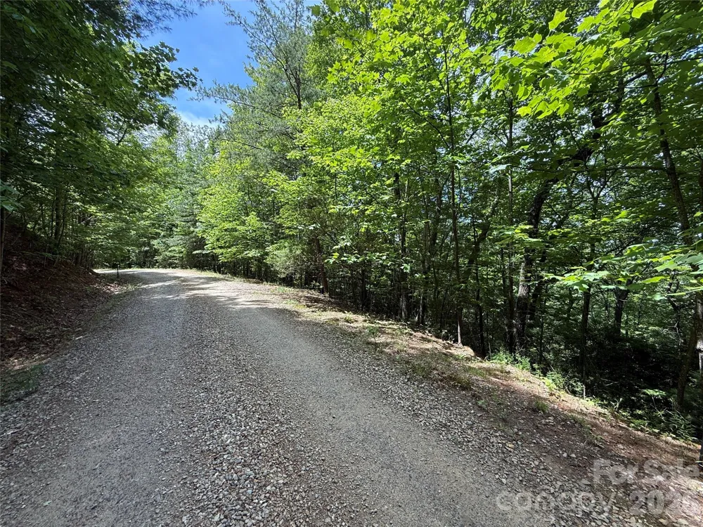 TBD Warren Way #132A Purlear, NC 28665