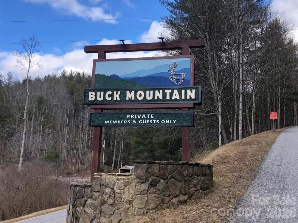 TBD Warren Way #132A Purlear, NC 28665
