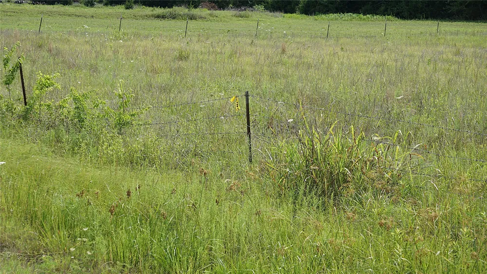 10468 State Highway 50 Ladonia, TX 75449
