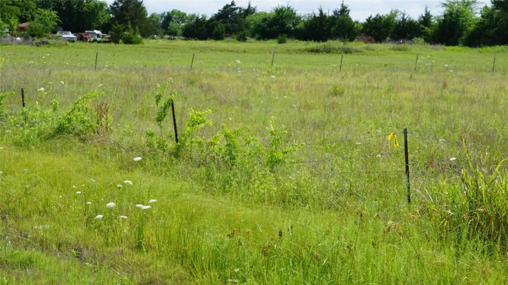 10468 State Highway 50 Ladonia, TX 75449
