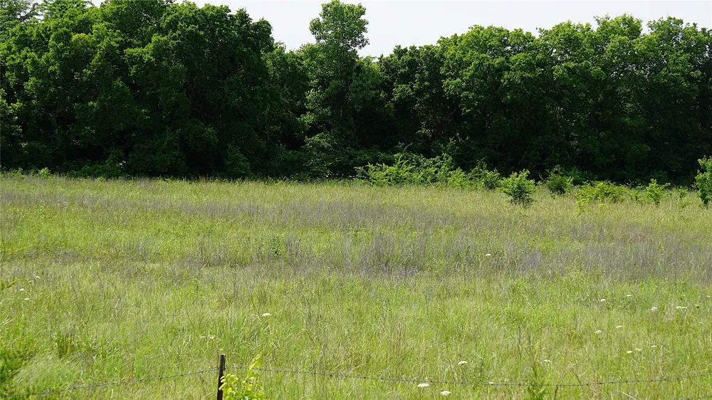 10468 State Highway 50 Ladonia, TX 75449
