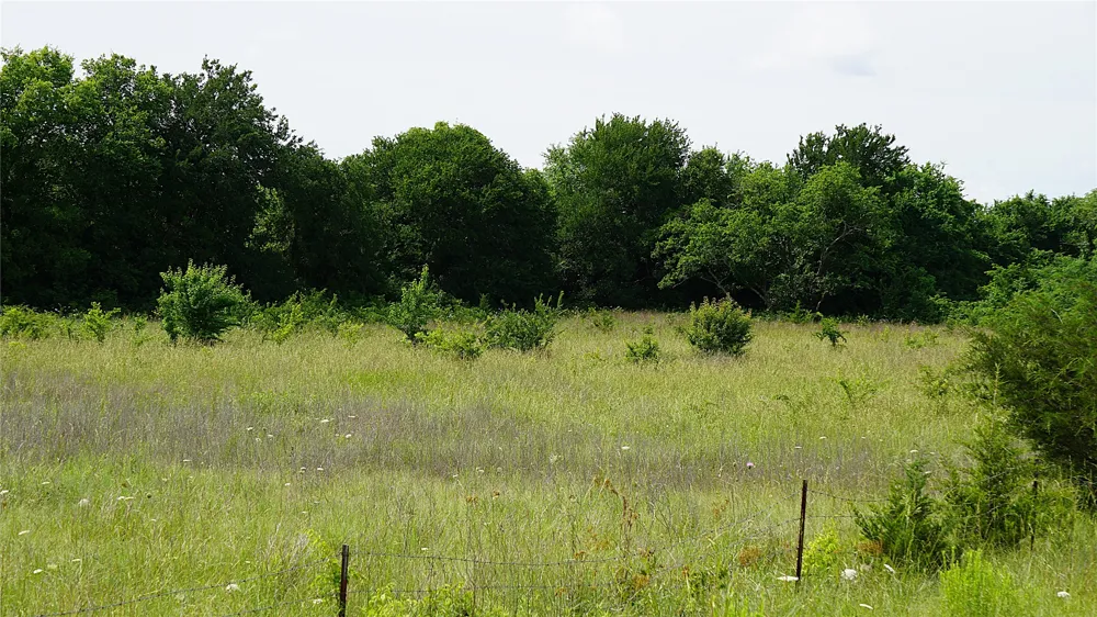 10468 State Highway 50 Ladonia, TX 75449