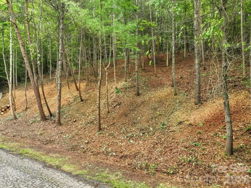 Lot 29 Hampton Lane Weaverville, NC 28787