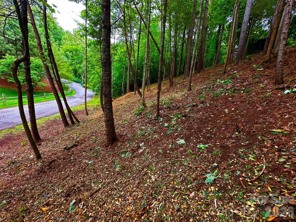 Lot 29 Hampton Lane Weaverville, NC 28787