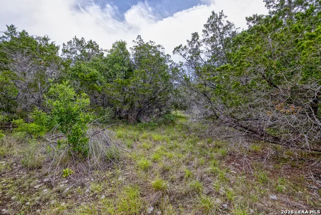 LOT 154 1796 Ranch Dhanis, TX 78850