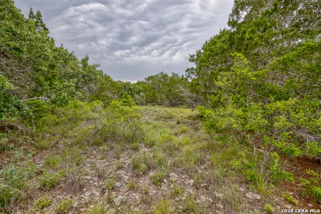 LOT 154 1796 Ranch Dhanis, TX 78850