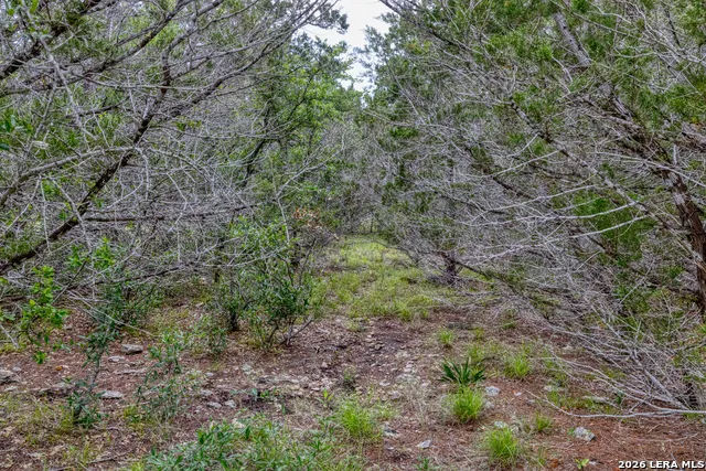 LOT 154 1796 Ranch Dhanis, TX 78850