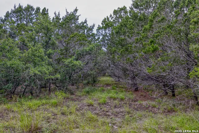 LOT 154 1796 Ranch Dhanis, TX 78850