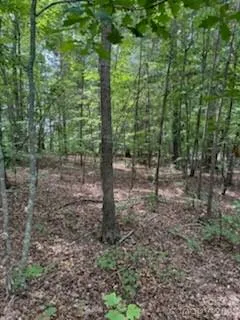 0 Smith Waldrop Road Columbus, NC 28722
