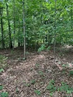 0 Smith Waldrop Road Columbus, NC 28722